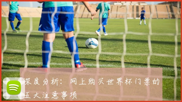 深度分析：网上购买世界杯门票的五大注意事项