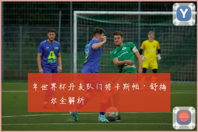 年世界杯丹麦队门将卡斯帕·舒梅切尔全解析