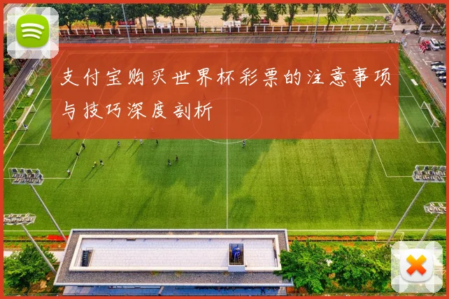 支付宝购买世界杯彩票的注意事项与技巧深度剖析