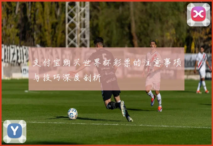 支付宝购买世界杯彩票的注意事项与技巧深度剖析