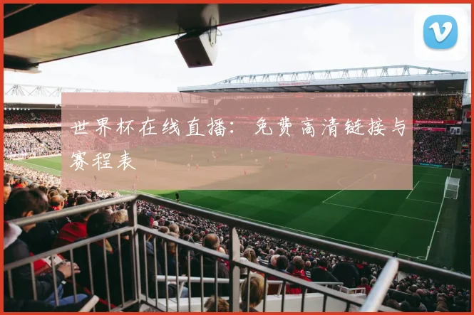 世界杯在线直播:免费高清链接与赛程表