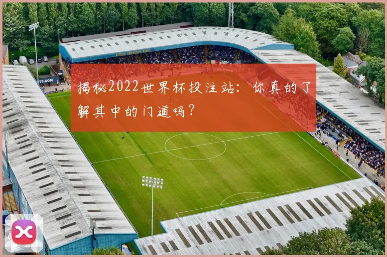 揭秘2022世界杯投注站：你真的了解其中的门道吗？