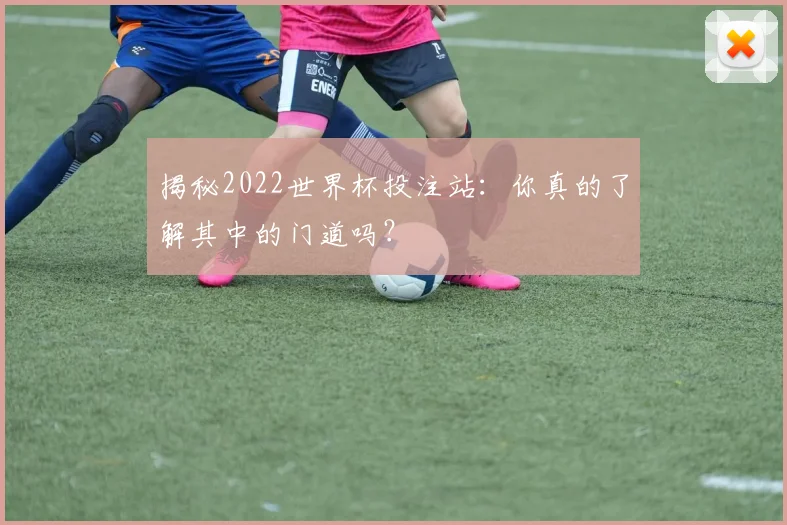 揭秘2022世界杯投注站：你真的了解其中的门道吗？