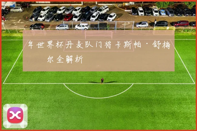 年世界杯丹麦队门将卡斯帕·舒梅切尔全解析