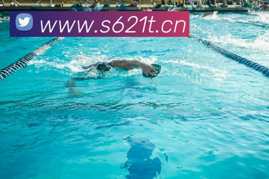 数据防护可视化